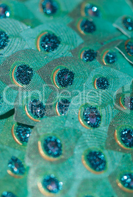 Blue green peacock colored paper