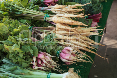 carrots with red radishes