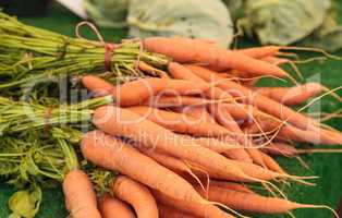 Mix of colorful orange carrots