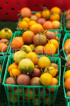 Mix of colorful cherry tomatoes