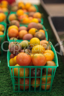 Mix of colorful cherry tomatoes