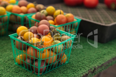 Mix of colorful cherry tomatoes