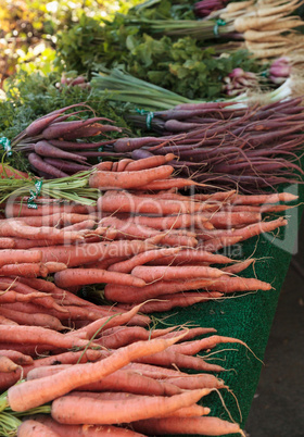 Colorful carrots