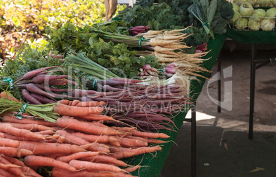 Colorful carrots and radishes