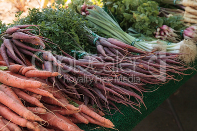 Colorful carrots