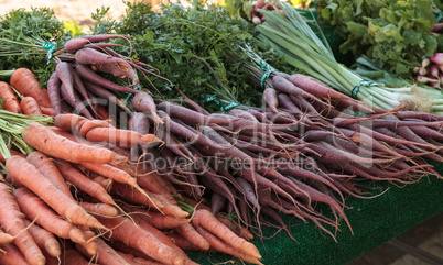 Colorful carrots