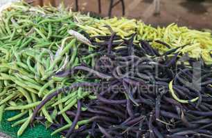 Dark yellow, purple and green beans