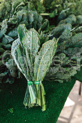 Dark green kale