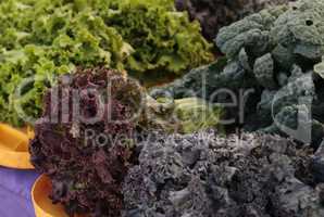 Purple and green romaine lettuce and kale grown