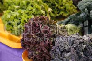 romaine lettuce and kale