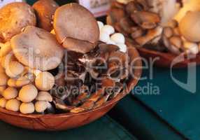 Brown beech mushrooms