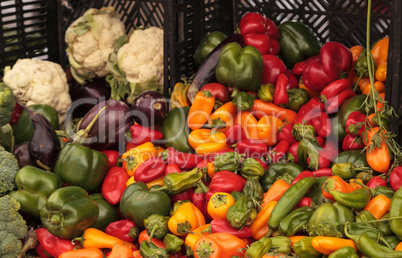 Mix of Peppers, cauliflower and eggplant