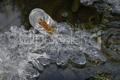 Eis auf einem Teich