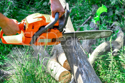 Chainsaw cut wooden logs