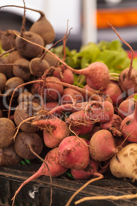 Organic red beets