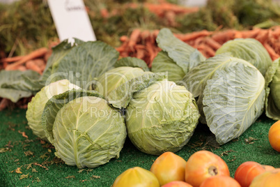 Cabbage and tomatoes grown and harvested