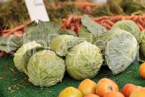 Cabbage and tomatoes grown and harvested
