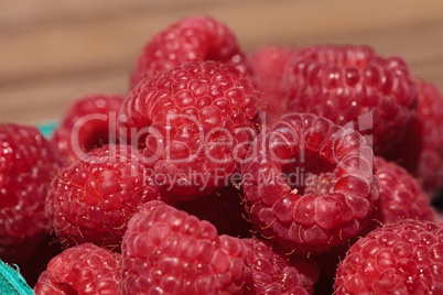 Organic red raspberries in a green basket