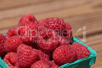 Organic red raspberries in a green basket