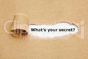 What Is Your Secret Torn Paper Concept