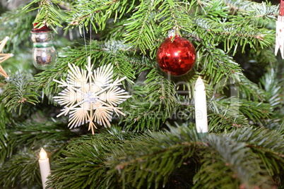 Weihnachtsbaum