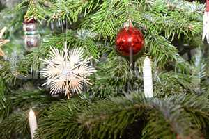 Weihnachtsbaum