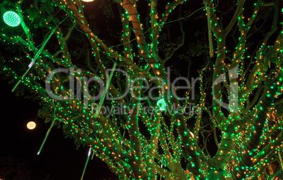 Background of colorful holiday green and white lights