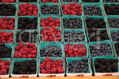 Baskets of organic raspberries, blueberries and blackberries