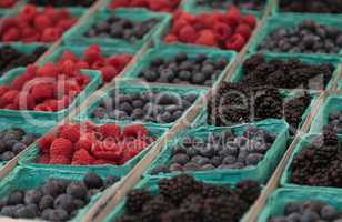 Baskets of organic raspberries, blueberries and blackberries