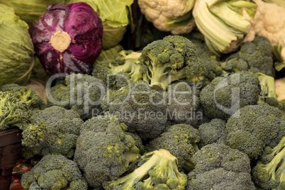 Organic broccoli and red cabbage