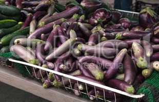 Purple eggplant vegetables