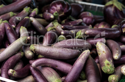 Purple eggplant vegetables