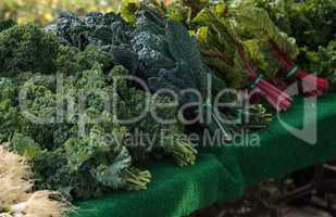 Bushels of organic kale