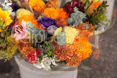 Colorful flowers grown on a farm