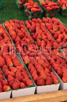 Cartons of fresh ripe red organic strawberries