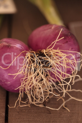 Red onions grown in an organic garden