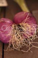 Red onions grown in an organic garden