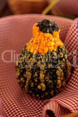 Yellow and green Gourd