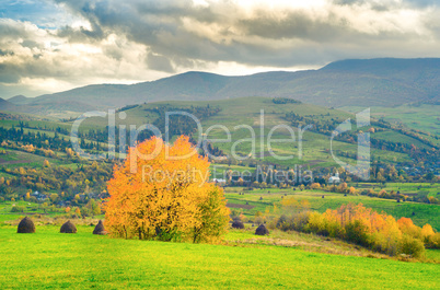 Autumn mountain panorama