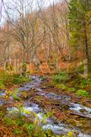 Autumn forest with river