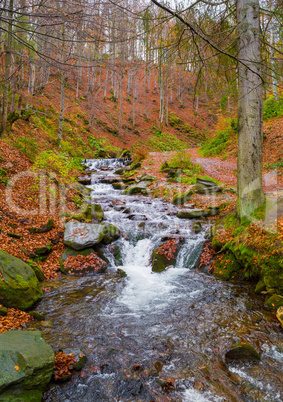 Autumn forest with river