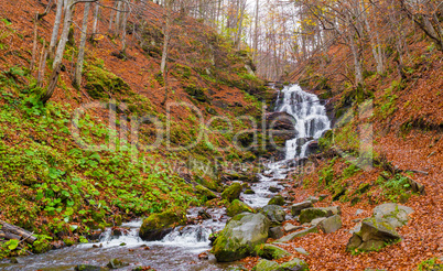 Autumn forest with river and waterfall