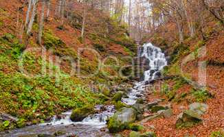 Autumn forest with river and waterfall