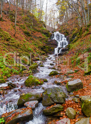 Autumn forest with river and waterfall