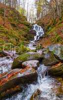 Autumn forest with river and waterfall