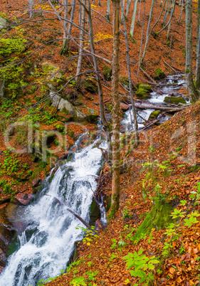 Autumn forest with river and waterfall