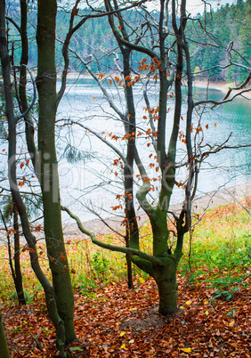 Colorful autumn landscape on Synevir lake, Ukraine.