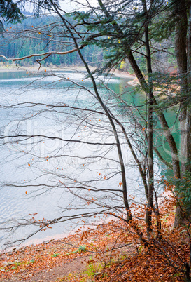 Colorful autumn landscape on Synevir lake, Ukraine.