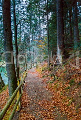 Colorful autumn landscape on Synevir lake, Ukraine. Path in the