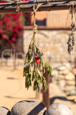 Hot red pepper dries on a garden drying rack